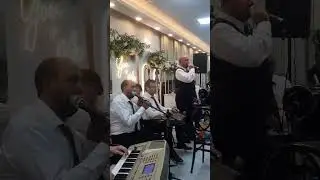 الفنان محمد مبيض أفراح آل السيد ولاية جيهان 