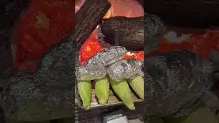 #snow #suspiciousminds #elvispresley #fireplace #fire #potatoes #elotes #papason #brasas