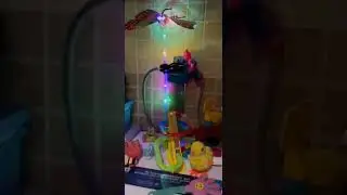 magic butterfly #amazing #trending #viral #shorts