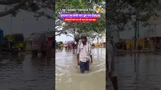 वृन्दावन का परिक्रमा मार्ग डूब गया है और जल स्तर बढ़ा  #mathura #vrindavan #yamunaji #flood #shorts