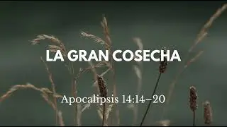 Predicaci&oacute;n: Apocalipsis 14:14-20, La Gran Cosecha (El Juicio de los Malvados)