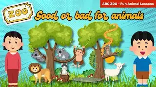 Is the Zoo Good or Bad for Animals? | ABC ZOO Fun Animal Lessons