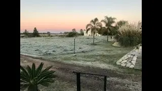 Top Hunting Seasons in Argentina | Dove, Duck & Big Game All Year!