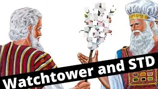 Jehovah Witness and weird Sexrules?  Are they biblical?