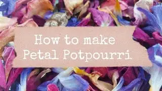 HOMEMADE PETAL POTPOURRI