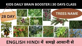 Kids Daily Brain Booster Day 28 | Trees Name in English with Hindi | Day 28 of 30 Days