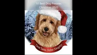 10 Best Dog Christmas Presents 2020