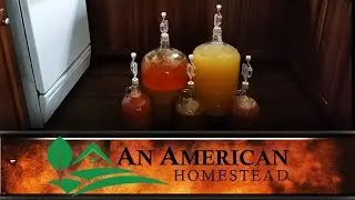 Persimmon Wine 3 Fermentation - An American Homestead