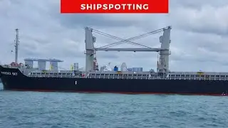Singapore Maritime Marvels: A Shipspotting Spectacle | container | bulk carrier | cargo | ships