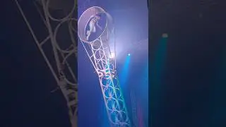 Dangerous stunt in circus 🎪
