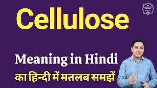 Cellulose meaning in Hindi | Cellulose ka matlab kya hota hai