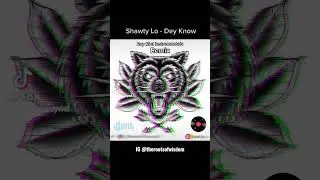 #shawtylo #deyknow #remix #royriel #instrumental