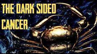Cancer the Dark Side - CRABS THAT DON'T LET GO, WARNING! 🛑 EXTREMELY TIGHT GRIP! WATCH OUT! 🦀🦀