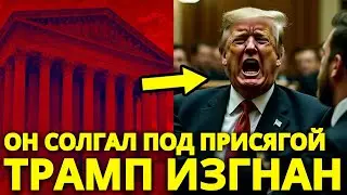 ХАОС в суде: Трампа УТАЩИЛИ после ЛЖИ под присягой