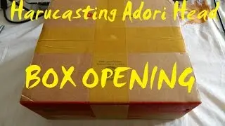 Harucasting Adori Head Box Opening!