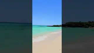 Beautiful blue water Playa del Carmen Mexico tropical Caribbean Sea beach paradise life #sealovers
