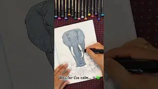 ELEPHANT COLOR Guide | Easy Coloring Guide for Kids & Beginners 🐘🎨 #shorts