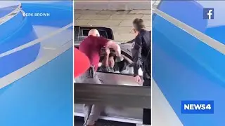 VIDEO: St. Ann detective breaks window, pulls suspect out of car after chase