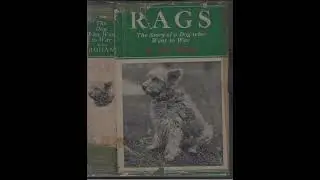 The Veteran Hero Rags the Dog