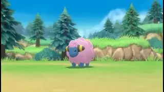 Shiny sheep