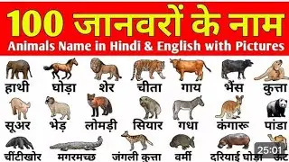 50 animal's name english to hindi || english words meaning in hindi #viral video 