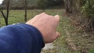 12-29-2024-indoor lemongrass trimmed + feeding cattle hay bales on wet ground-42 minutes