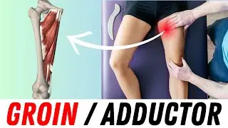 How to Fix Tight Groin & Adductors for Good! (3 Easy Exercises for Instant Relief) 🧘&zwj;♂️💪