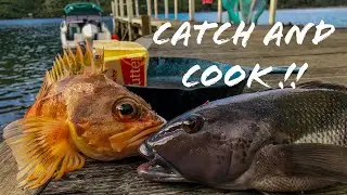 Marlborough Sounds  CATCH and COOK Over An Open Fire!! | Blue Cod | Sea Perch |