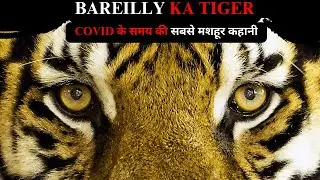 Bareilly Ka Tiger! The most famous story of Covid times | Tiger Attack | #tiger