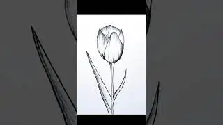 Flower Drawing Technique | Beautiful flower drawing easy step by step |