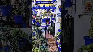 The prettiest neighborhood in Spain? 🪴💙 #SantaCruz