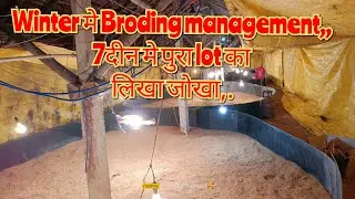 winter मे Broding management,,कैसे करे,,,broding मे छुपा है पूरा batch का income.