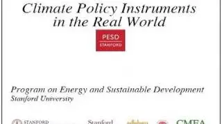 Climate Policy Instruments in the Real World