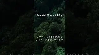 Peaceful Moment BGM #relaxingmusic  #meditationmusic  #sleepmusic