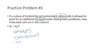 Calculating Number of Bacterial Cells