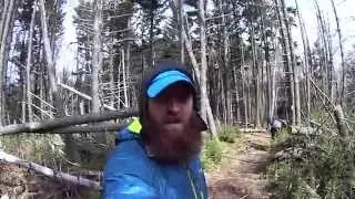 Appalachian Trail: Unaka Mountain - 40
