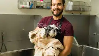 Pamper Your Pooch Ultimate Dog Grooming