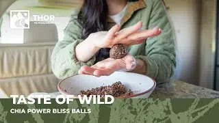 Chia Power Bliss Balls