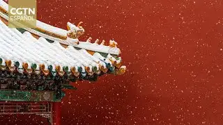 Obras del Museo del Palacio Imperial se exhiben en la capital de Austria