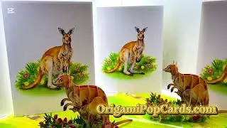 Origami Pop Cards Australian Wildlife Kangaroo Mother & Baby Online   