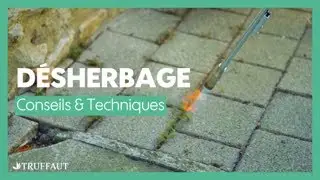 Quelles sont les différentes techniques de désherbage pour votre jardin ? - Truffaut