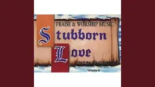 Stubborn Love
