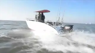 Alpha 590 Aluminiumboot  bei BEST-Boats24