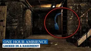 POV: You're Locked in a Basement Ambience | Water Dripping 1 Hour Sounds