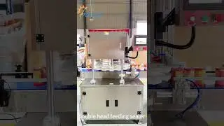 Chips Double head Can Packing Line , Automatic Pellet Can Filler Sealer Machine, Granules Seamer