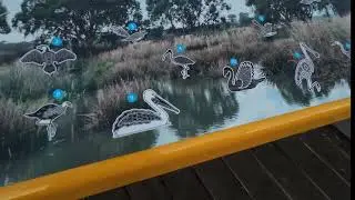 Train via Murray bridge - River bank - Monarto South Australia