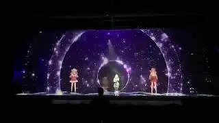3D Hologram Gauze Projection Screen for Stage Live Show