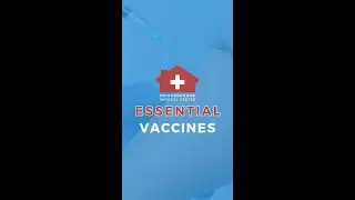 STAY PROTECTED WITH ESSENTIAL VACCINES