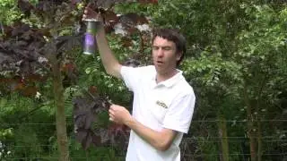 Deluxe Njyer Seed Feeder