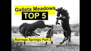 Galleta Meadows TOP 5:  Borrego Springs Part 2, Free public art.